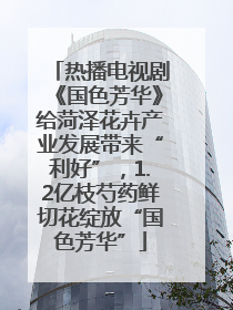 热播电视剧《国色芳华》给菏泽花卉产业发展带来“利好”，1.2亿枝芍药鲜切花绽放“国色芳华”