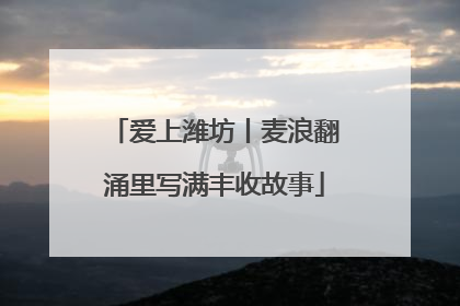 爱上潍坊丨麦浪翻涌里写满丰收故事