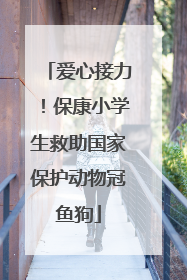 爱心接力！保康小学生救助国家保护动物冠鱼狗
