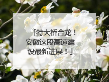 特大桥合龙！安徽这段高速建设最新进展！