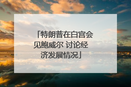 特朗普在白宫会见鲍威尔 讨论经济发展情况