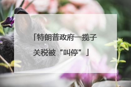 特朗普政府一揽子关税被“叫停”