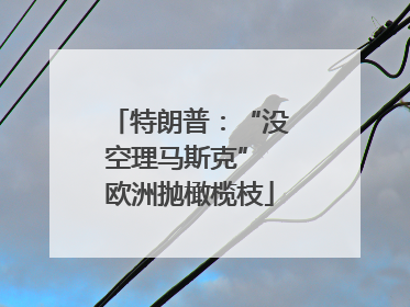特朗普：“没空理马斯克” 欧洲抛橄榄枝
