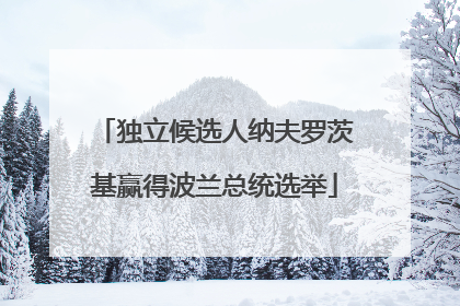 独立候选人纳夫罗茨基赢得波兰总统选举