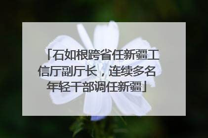 石如根跨省任新疆工信厅副厅长，连续多名年轻干部调任新疆