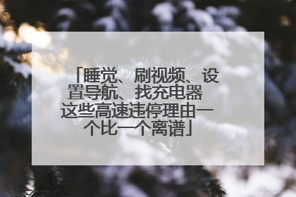 睡觉、刷视频、设置导航、找充电器 这些高速违停理由一个比一个离谱