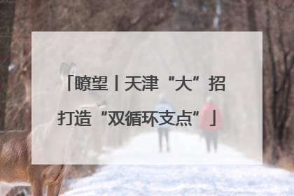瞭望丨天津“大”招打造“双循环支点”