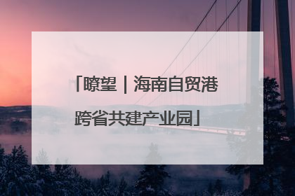 瞭望｜海南自贸港跨省共建产业园