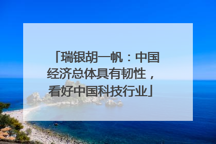 瑞银胡一帆：中国经济总体具有韧性，看好中国科技行业