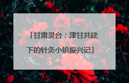 甘肃灵台：津甘共建下的针灸小镇振兴记