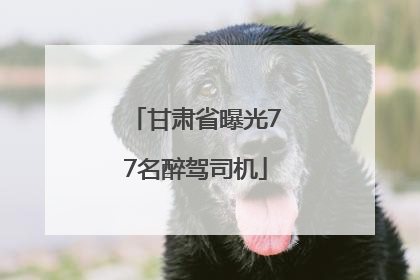 甘肃省曝光77名醉驾司机