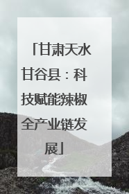 甘肃天水甘谷县：科技赋能辣椒全产业链发展