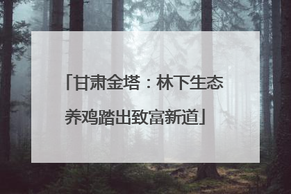 甘肃金塔：林下生态养鸡踏出致富新道