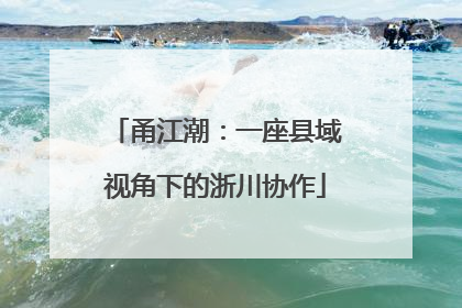 甬江潮：一座县域视角下的浙川协作