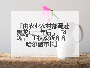 由农业农村部调赴黑龙江一年后，“80后”王杕履新齐齐哈尔副市长