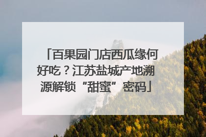 百果园门店西瓜缘何好吃？江苏盐城产地溯源解锁“甜蜜”密码