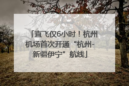 直飞仅6小时！杭州机场首次开通“杭州-新疆伊宁”航线