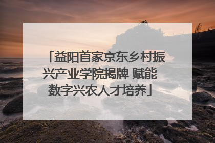 益阳首家京东乡村振兴产业学院揭牌 赋能数字兴农人才培养