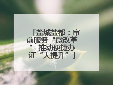 盐城盐都：审前服务“微改革” 推动便捷办证“大提升”