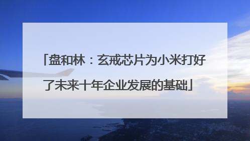 盘和林：玄戒芯片为小米打好了未来十年企业发展的基础