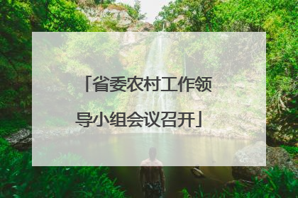 省委农村工作领导小组会议召开