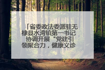 省委政法委派驻无棣县水湾镇第一书记 协调开展“党建引领聚合力，健康义诊惠乡亲”义诊活动