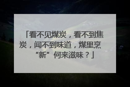 看不见煤炭，看不到焦炭，闻不到味道，煤里烹“新”何来滋味？