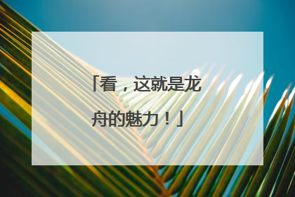 看，这就是龙舟的魅力！
