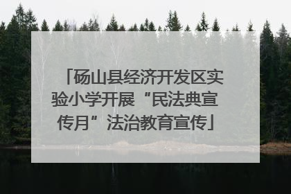 砀山县经济开发区实验小学开展“民法典宣传月”法治教育宣传