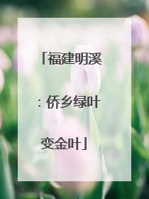 福建明溪：侨乡绿叶变金叶