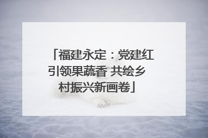福建永定：党建红引领果蔬香 共绘乡村振兴新画卷