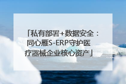 私有部署+数据安全：同心雁S-ERP守护医疗器械企业核心资产