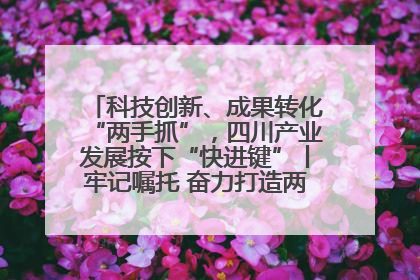 科技创新、成果转化“两手抓”，四川产业发展按下“快进键”丨牢记嘱托 奋力打造两高地两基地一屏障