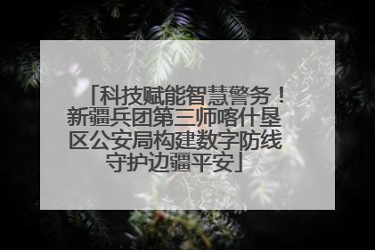 科技赋能智慧警务！新疆兵团第三师喀什垦区公安局构建数字防线守护边疆平安