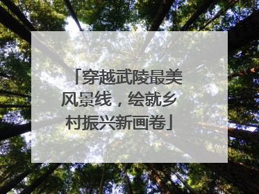 穿越武陵最美风景线，绘就乡村振兴新画卷