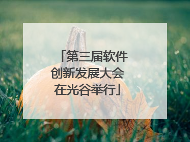 第三届软件创新发展大会在光谷举行