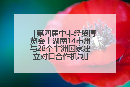 第四届中非经贸博览会丨湖南14市州与28个非洲国家建立对口合作机制