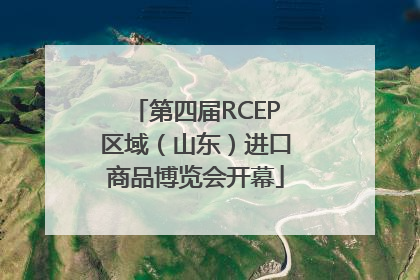 第四届RCEP区域（山东）进口商品博览会开幕
