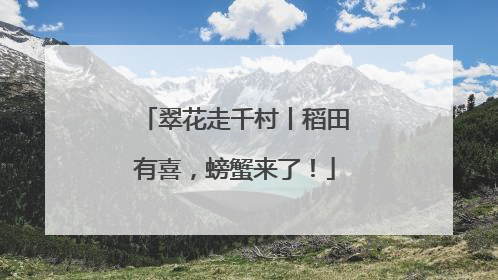 翠花走千村丨稻田有喜，螃蟹来了！