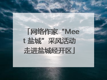 网络作家“Meet 盐城”采风活动走进盐城经开区