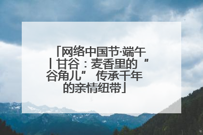 网络中国节·端午丨甘谷：麦香里的“谷角儿” 传承千年的亲情纽带