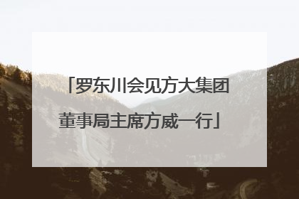 罗东川会见方大集团董事局主席方威一行