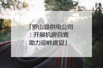 罗山县供电公司：开展机房自查 助力迎峰度夏