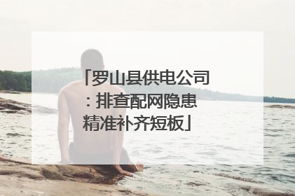 罗山县供电公司：排查配网隐患 精准补齐短板