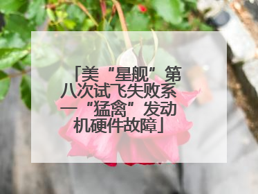 美“星舰”第八次试飞失败系一“猛禽”发动机硬件故障