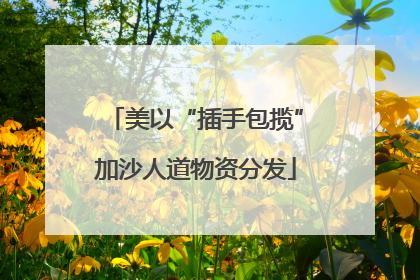 美以“插手包揽”加沙人道物资分发