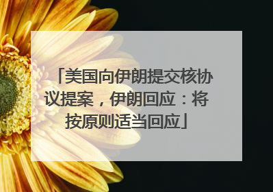 美国向伊朗提交核协议提案，伊朗回应：将按原则适当回应