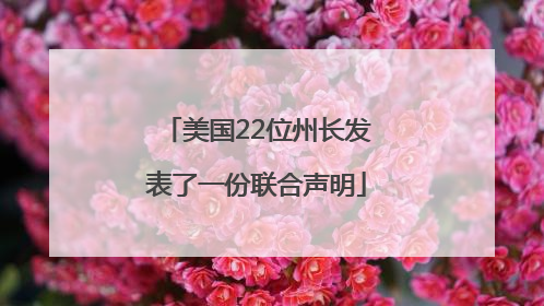 美国22位州长发表了一份联合声明