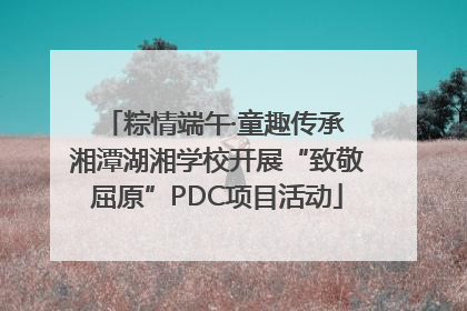 粽情端午·童趣传承 湘潭湖湘学校开展“致敬屈原”PDC项目活动