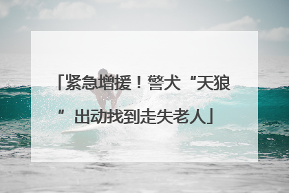 紧急增援！警犬“天狼”出动找到走失老人